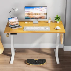 Electric Adjustable Height Standing Desk