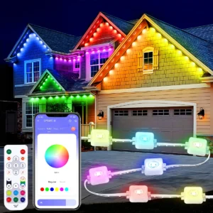 Permanent Outdoor Lights
