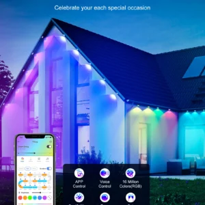 Permanent Outdoor Lights - Thumbnail Image 4